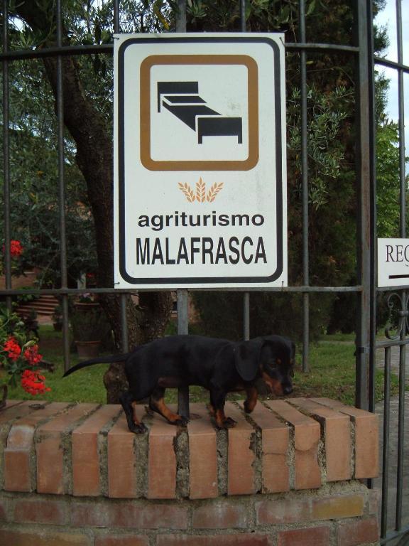 Agriturismo Malafrasca Villa Сиена Екстериор снимка